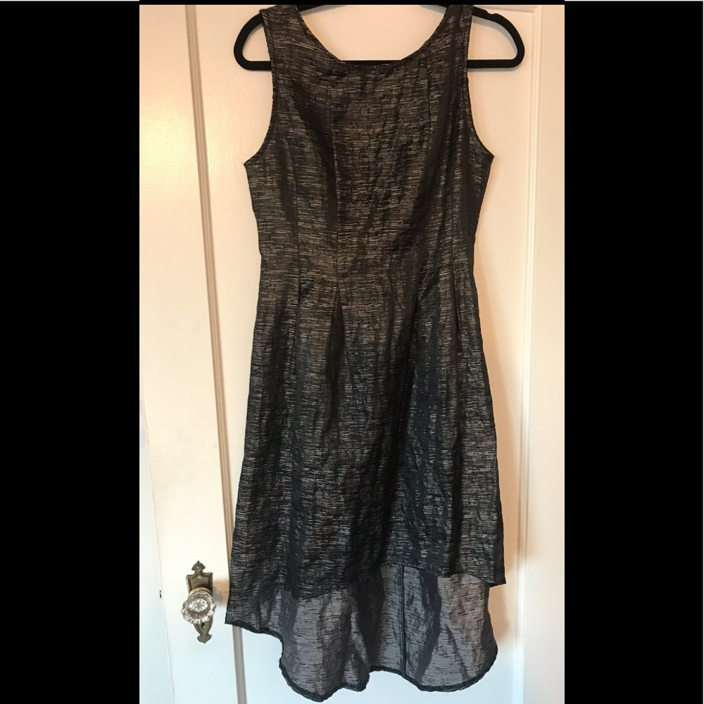 Hi Lo Dress Sleeveless Size L Fit N Flare